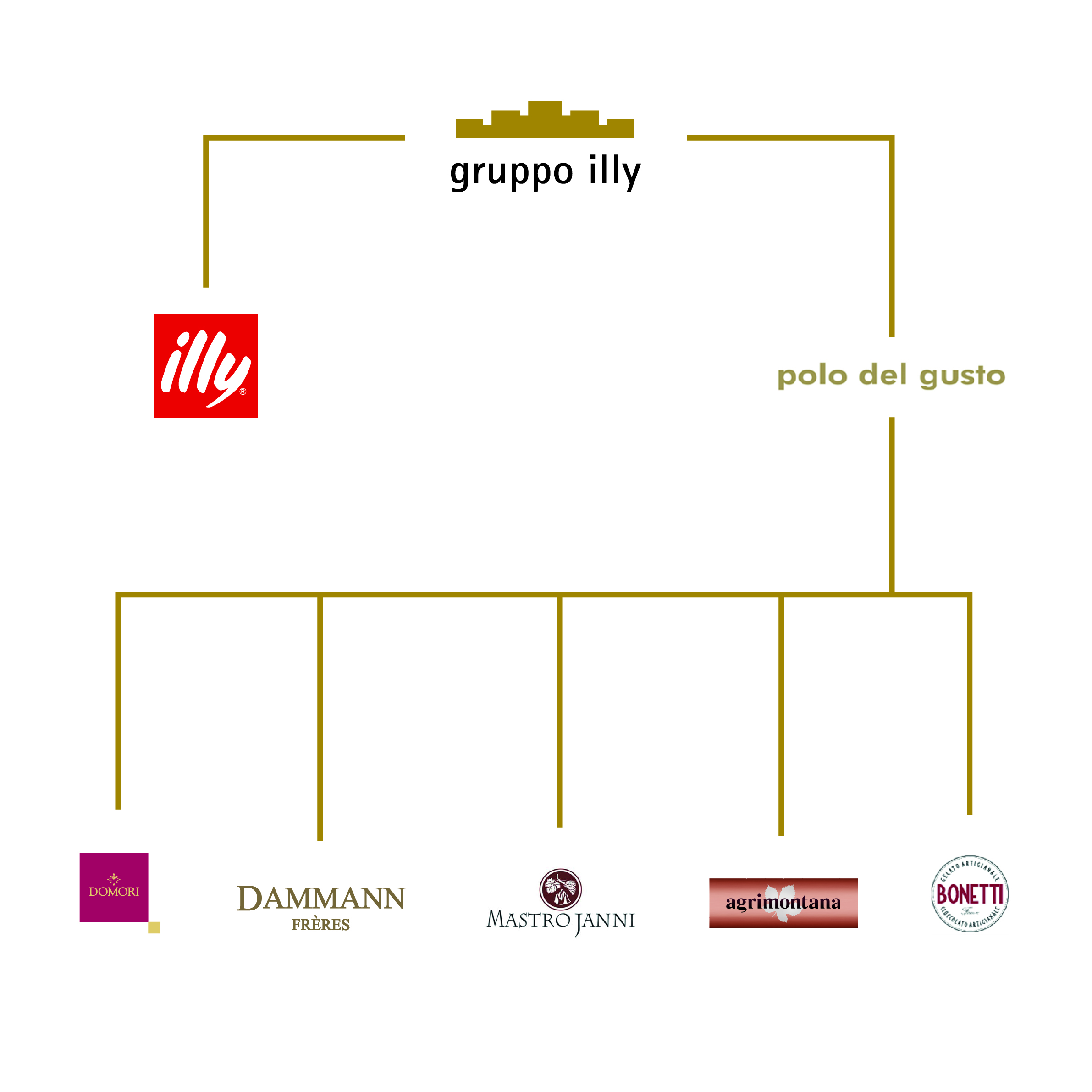 Organigramma